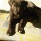 2 Meses hoooooooooy